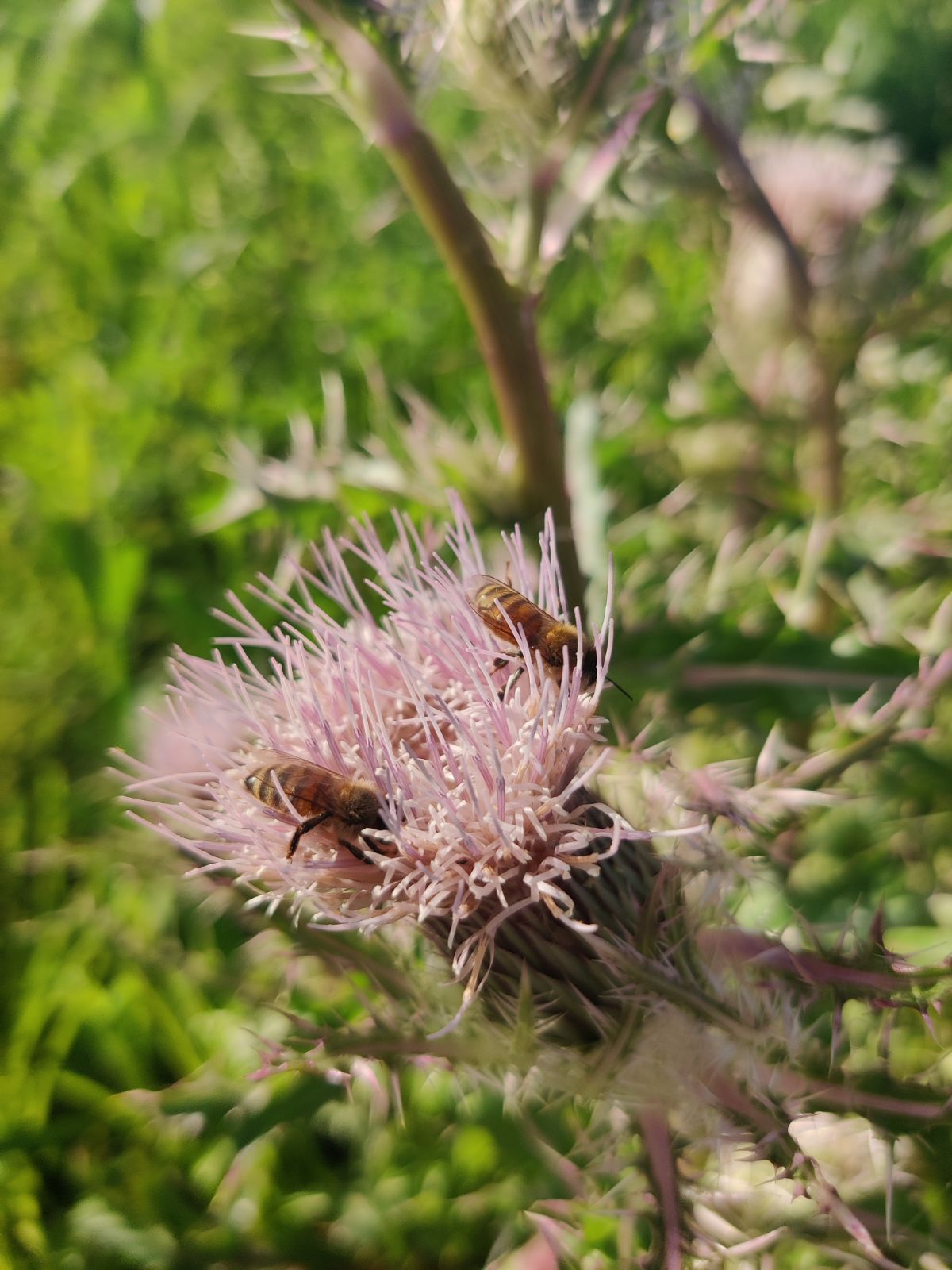 wp-17618608764499083140249533959843