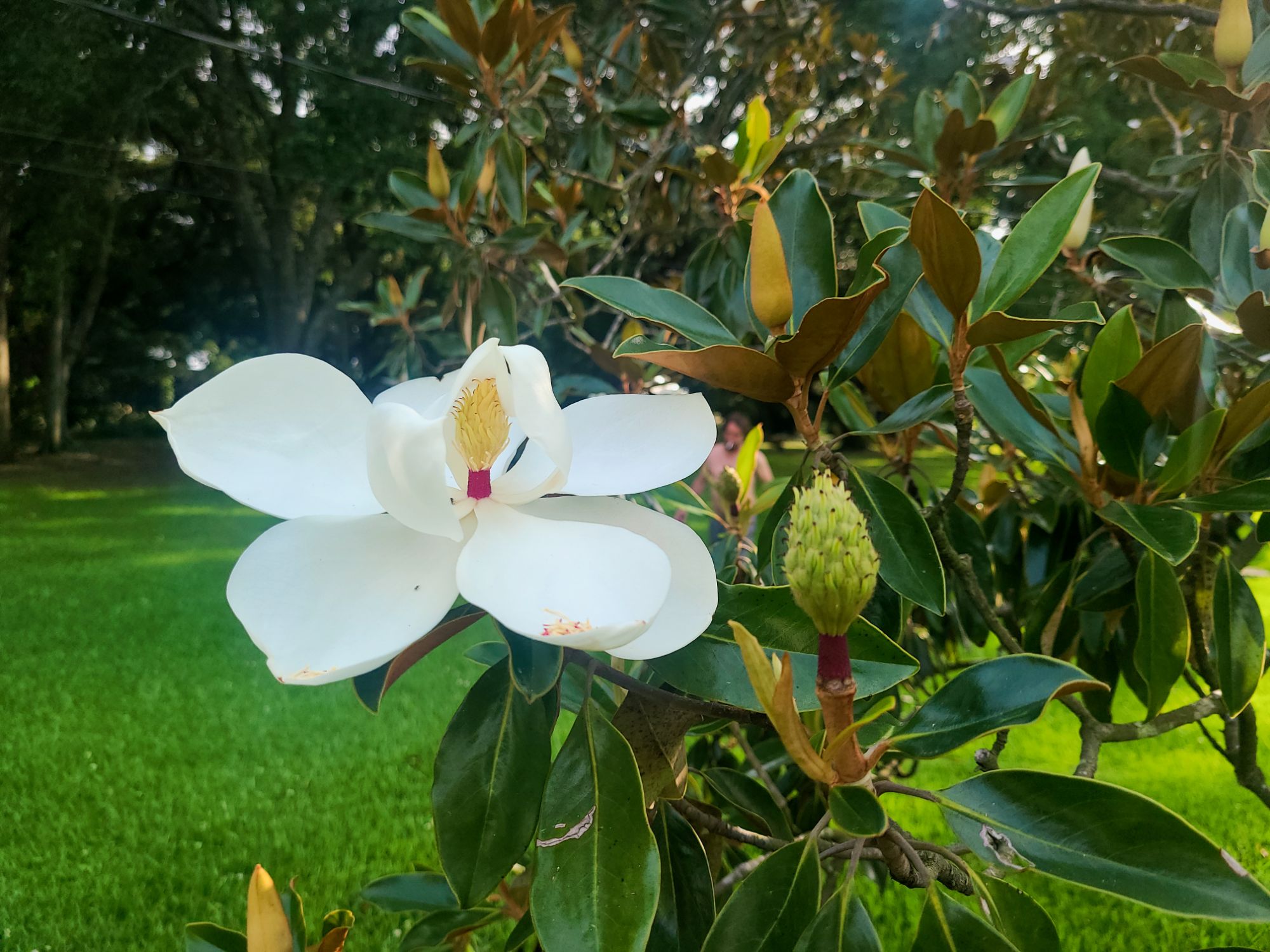 wp-17621301273914831320849818017579