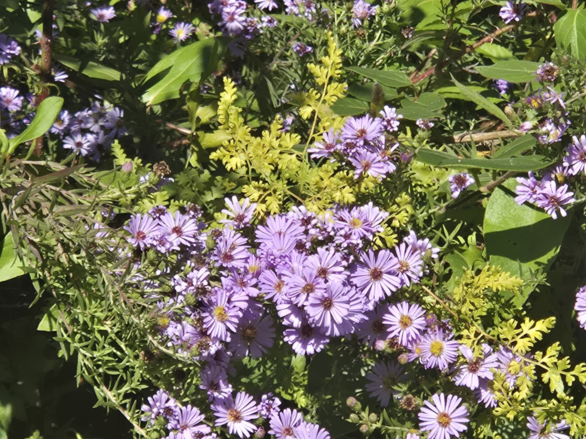 wp-17627993605627728850235538037575