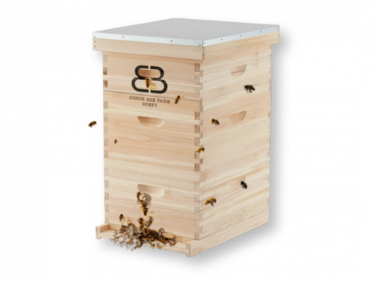 wp-1764194764804526466000259454795