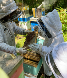 wp-17734264767577274828101055631321