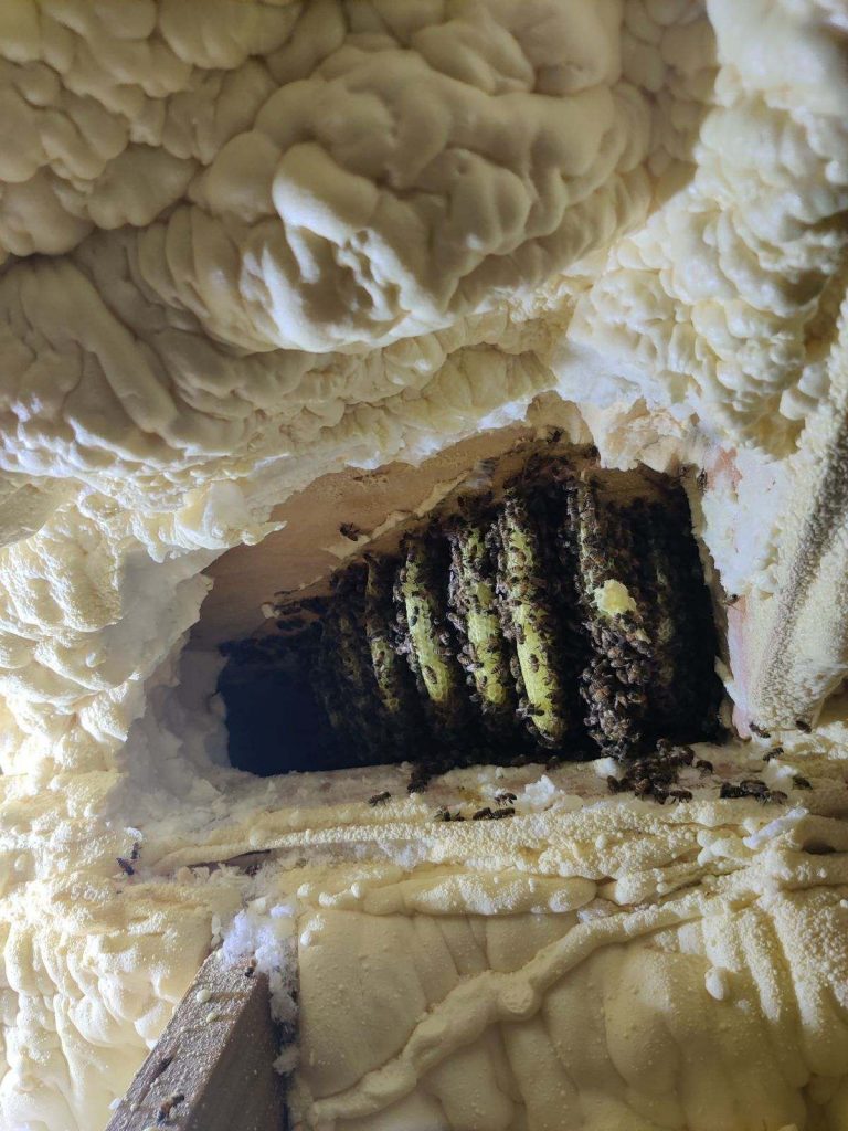 wp-17734336273756941837373299864538