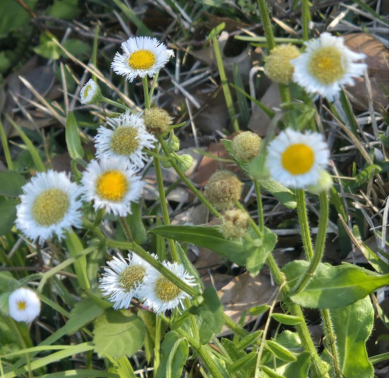 wp-17737657139095996374589928026126