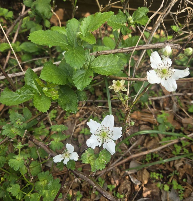 wp-177376574621047161305719308552