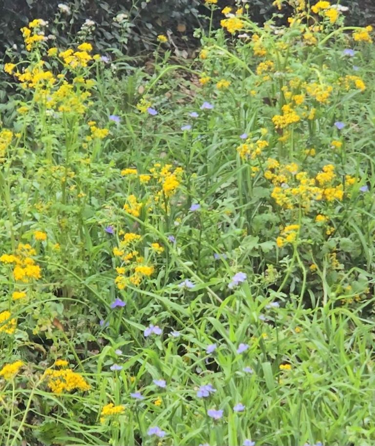 wp-17737658768456594172867370970727