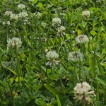 wp-17743838453172665167126560008913