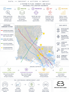 Pollinator Decision Infographic