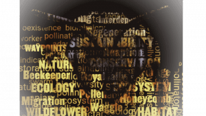 Untitled design_20260511_190424_0000